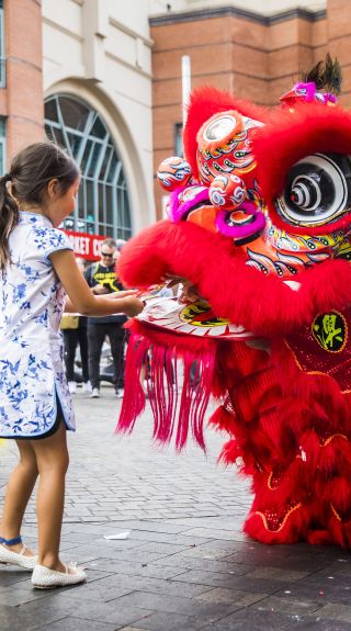 Lunar New Year Celebrations