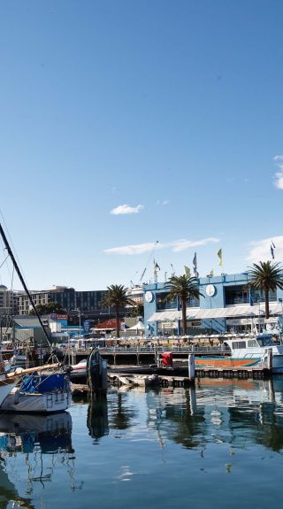 Credit: Sydney Fish Market