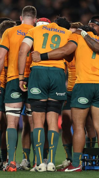 Wallabies v Argentina