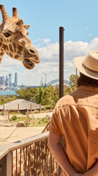 Taronga Zoo, Mosman