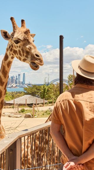 Taronga Zoo, Mosman