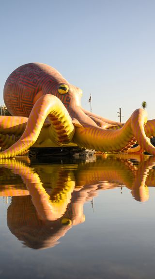 Sydney Festival, Sydney