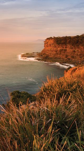 Sunrise, Royal National Park