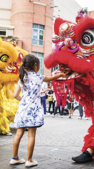 Lunar New Year, Chinatown