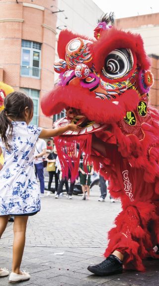 Lunar New Year, Chinatown