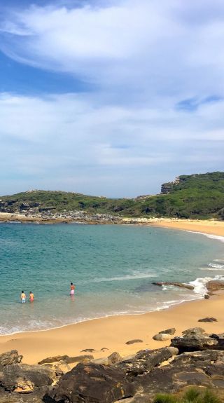 Beach near Bundeena, Royal National Park - Credit: Natasha Webb/DCCEEW