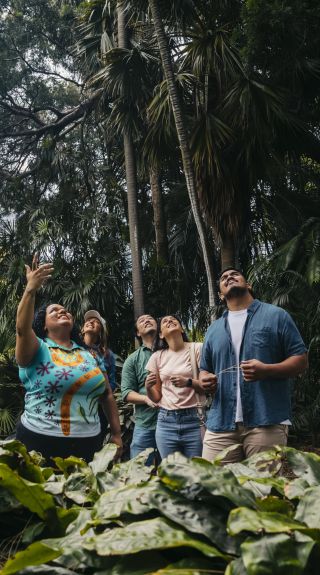 Royal Botanic Garden Bush Tucker Tour