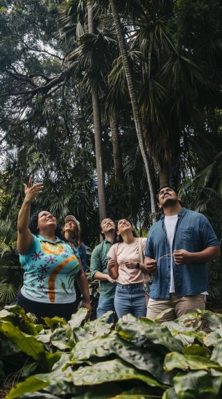 Royal Botanic Garden Bush Tucker Tour