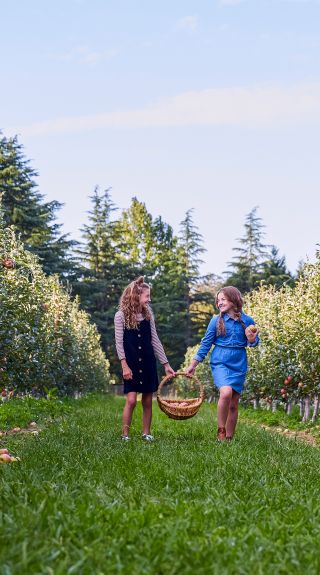 Shields Orchard, Bilpin
