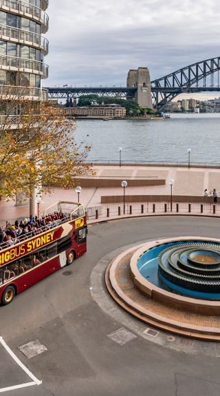 Big Bus Tours, Sydney
