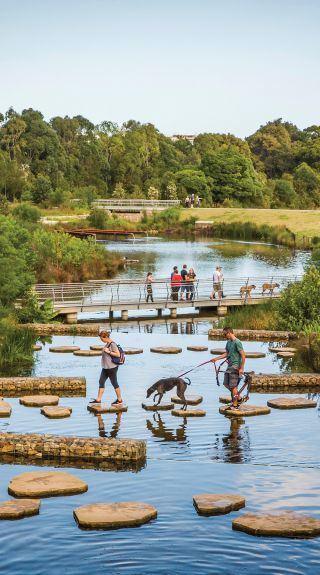 Sydney Park, St Peters