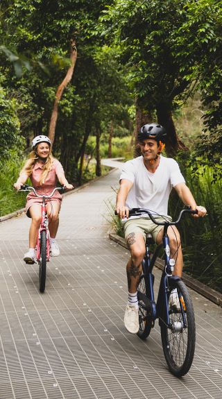 Narrabeen Lagoon Trail, Narrabeen