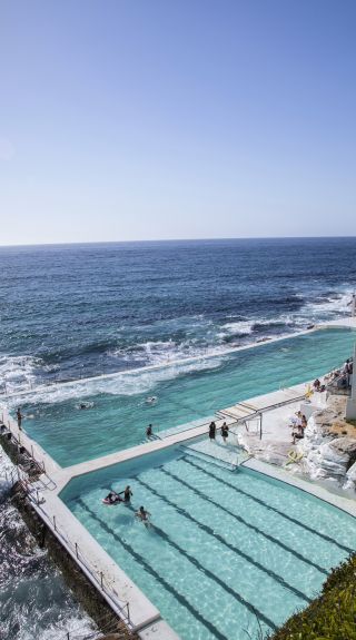 Bondi Icebergs