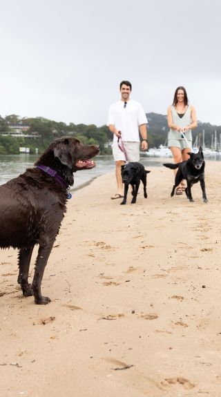 Bayview Dog Park, Bayview