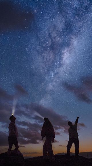 Palm Beach Headland Urban Night Sky Place