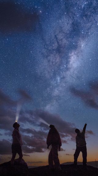 Palm Beach Headland Urban Night Sky Place