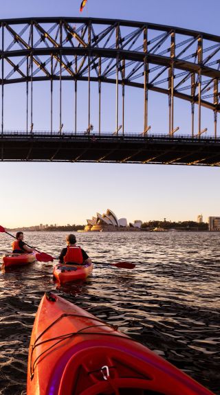 Sydney Kayak Experience
