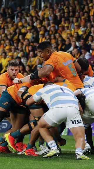 Wallabies v Argentina Test Match