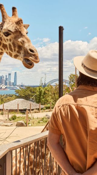 Taronga Zoo, Mosman