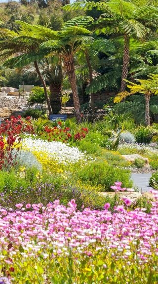 Connections Garden, Campbelltown - Credit: Great Macarthur Drive Tour