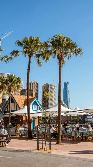 Whalebridge, Circular Quay - Credit: Kitti Gould