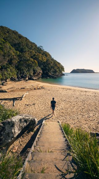 Resolute Beach, Ku-ring-gai Chase National Park
