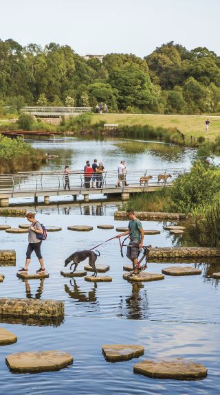 Sydney Park, St Peters