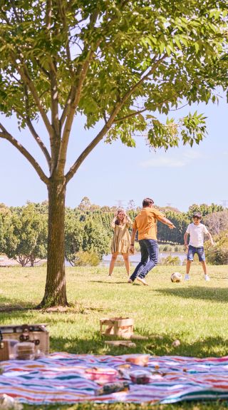 Bicentennial Park, Homebush
