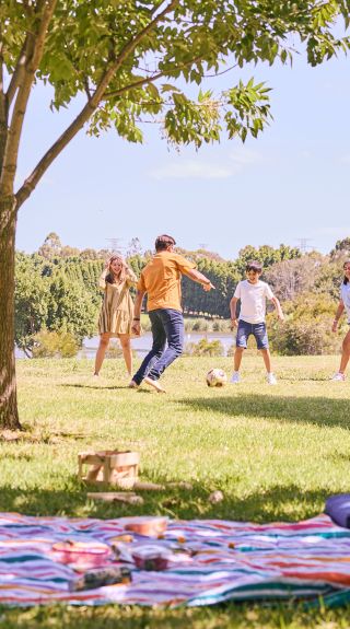 Bicentennial Park, Homebush