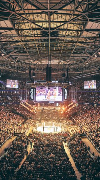 UFC 325 赛事现场 - 图片来源：UFC