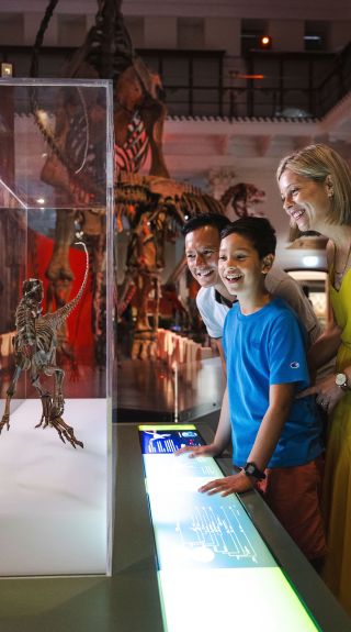 Australian Museum, Sydney