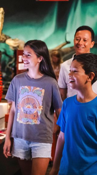 Australian Museum, Sydney