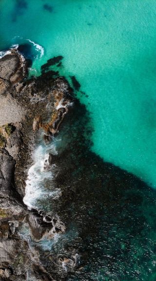 Queenscliff Rockpool, Queenscliff