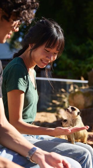 Zambie Wildlife Retreat, Wallacia