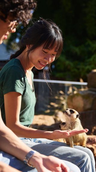 Zambie Wildlife Retreat, Wallacia
