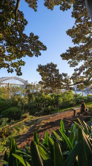 Wendy Whiteley's Secret Garden, Lavender Bay