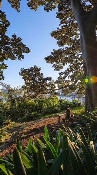 Wendy Whiteley's Secret Garden, Lavender Bay