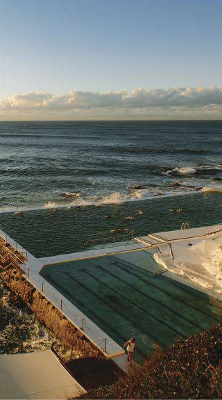 Bondi Icebergs