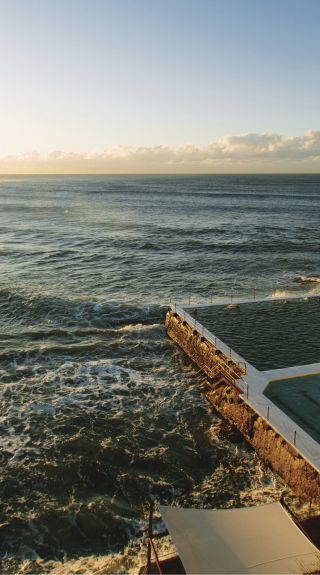 Bondi Icebergs