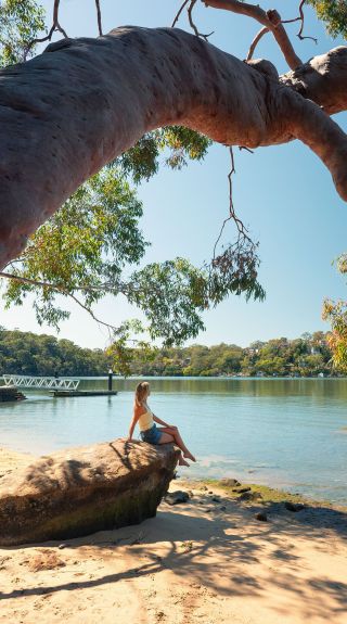 Resolute Beach, Ku-ring-gai Chase National Park