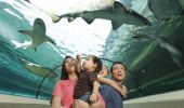 Family at Sea Life Sydney Aquarium at Darling Harbour