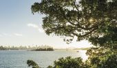 Sydney Harbour in Summer