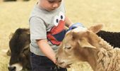 Easter Long Weekend - Image Royal Agricultural Society of NSW David Clare