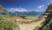 Sydney Harbour in Summer