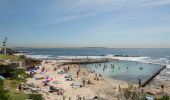 Families relaxing in the sun on Oak Park Beach, Cronulla.