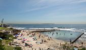 Families relaxing in the sun on Oak Park Beach, Cronulla.