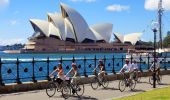 A Bonza Bike tour cycling near the Sydney Opera House