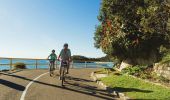 Cycling from Shelly Beach to Manly on Sydney's Northern Beaches