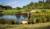 Woman walking her dog by the picturesque wetlands located in the award-winning Sydney Park, St Peters