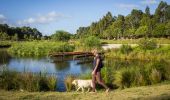 Woman walking her dog by the picturesque wetlands located in the award-winning Sydney Park in St Peters,  Moore Park